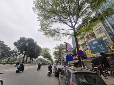 Bán nhà 7T phố Láng ,Đống Đa, Dt 50m, Mt 4m, Dài 12,5m Đường 30m, Giá 27,8 tỷ . Lh 0784.238.666