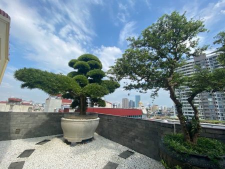 Bán nhà 9 tầng Phố Hoàng Quốc Việt, Dt 291m, Mt 8m, Dài 38m, Đường 10m, Giá 250 tỷ . Lh 0784.238.666