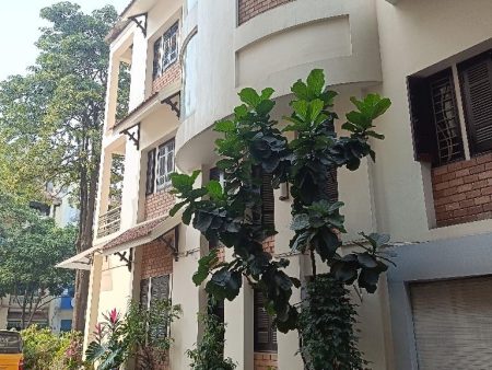 Bán Biệt Thự 5 tầng, KĐT Đại Kim , Hoàng Mai , Dt 80m, Mt 5,2m, Dài 15m, Đường 12m, Giá 47 tỷ . Lh 0784.238.666