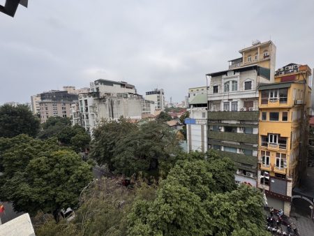 Bán nhà 4 tầng Phố Phan Chu Chinh, Dt 33m, Mt 4.4m, Dài 7m, Đường 18m, Giá 41 tỷ . Lh 0784.238.666