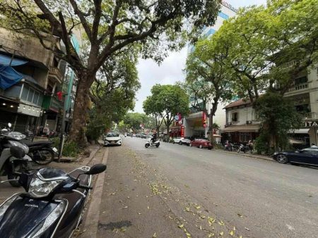 Bán nhà 2 tầng Phố Trần Hưng Đạo, Dt 383m, Mt 9.1m, Dài 42m, Đường 24m, Giá 375 tỷ . Lh 0784.238.666