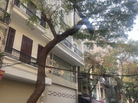 Bán nhà 4 tầng Phố Đặng Dung, Dt 45m, Mt 5m, Dài 12m, Đường 30m, Giá 51 tỷ . Lh 0784.238.666